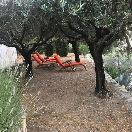 Le Clos En Provence Flayosc Cameră foto
