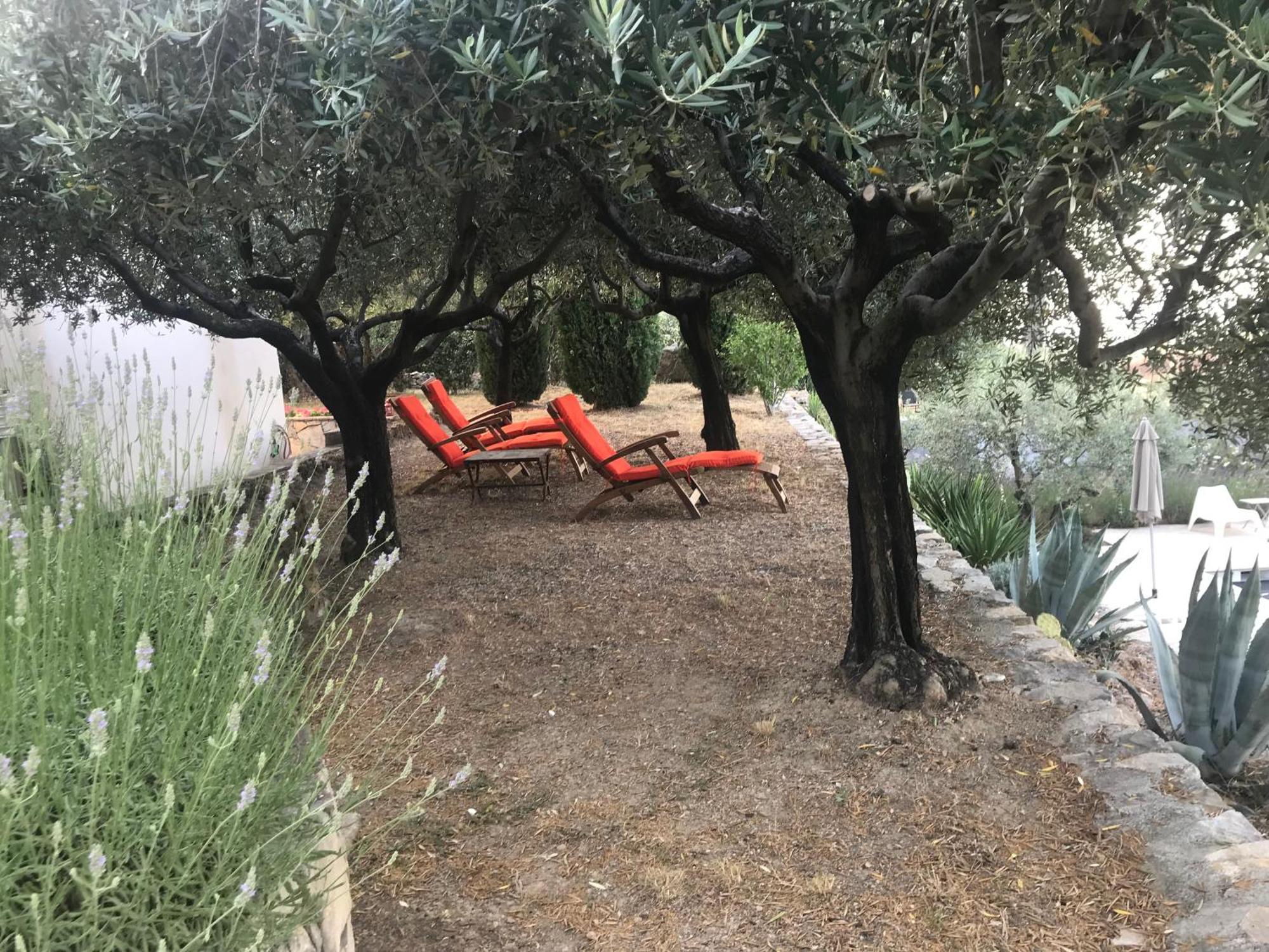 Le Clos En Provence Flayosc Cameră foto